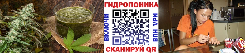Canna-Cookies конопля  Иноземцево 