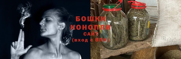 крисы Баксан