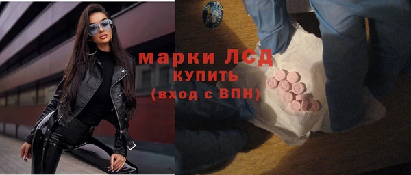 крисы Баксан