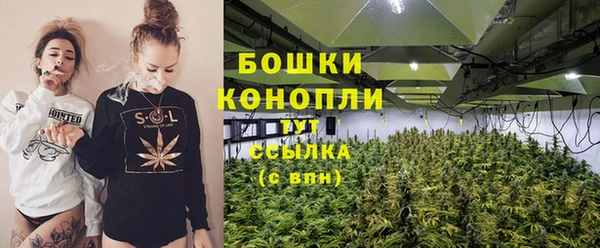 крисы Баксан