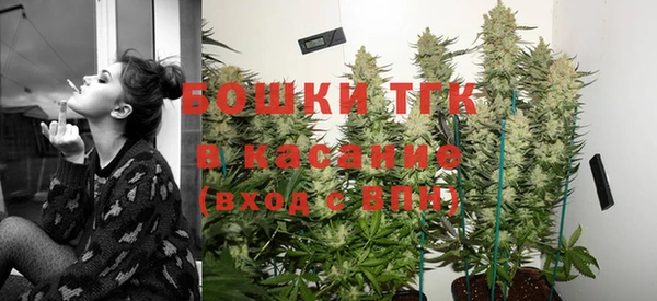 крисы Баксан