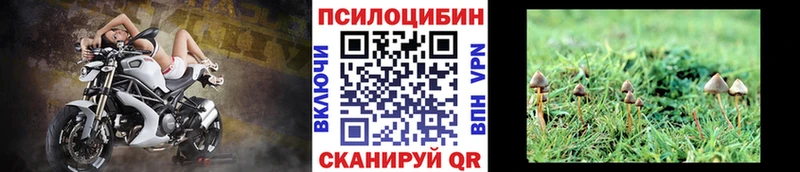Псилоцибиновые грибы Magic Shrooms  купить наркотик  ОМГ ОМГ ССЫЛКА  Иноземцево 